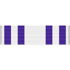 Maine National Guard Ice Guard 98 Ribbon